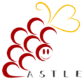 Everyone's Castle
